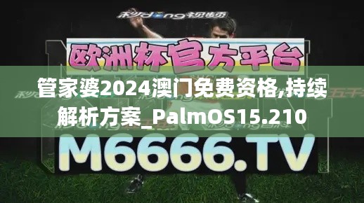 管家婆2024澳门免费资格,持续解析方案_PalmOS15.210