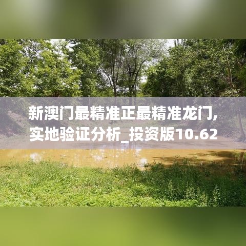 新澳门最精准正最精准龙门,实地验证分析_投资版10.624