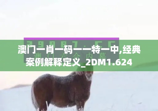 澳门一肖一码一一特一中,经典案例解释定义_2DM1.624