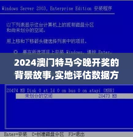 2024年12月17日 第41页