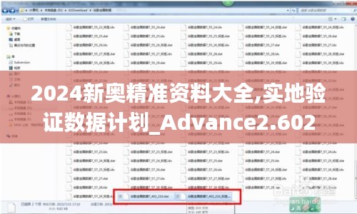 2024新奥精准资料大全,实地验证数据计划_Advance2.602