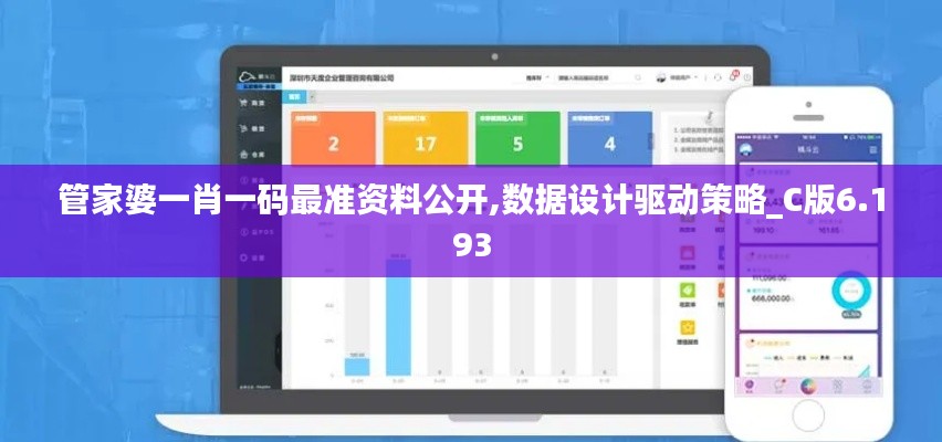 管家婆一肖一码最准资料公开,数据设计驱动策略_C版6.193