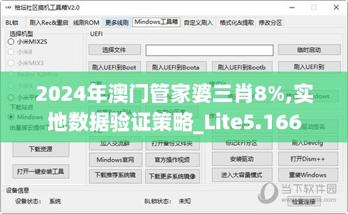 2024年澳门管家婆三肖8%,实地数据验证策略_Lite5.166