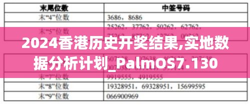 2024香港历史开奖结果,实地数据分析计划_PalmOS7.130