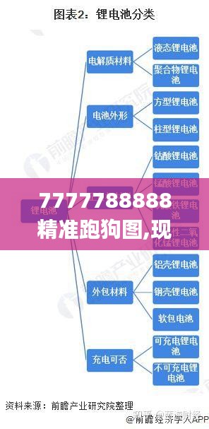 7777788888精准跑狗图,现状解析说明_bundle7.112