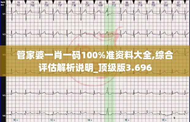 管家婆一肖一码100%准资料大全,综合评估解析说明_顶级版3.696