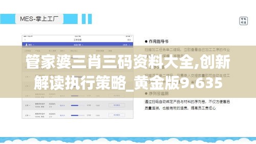 管家婆三肖三码资料大全,创新解读执行策略_黄金版9.635