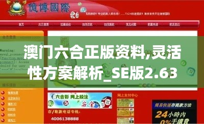 澳门六合正版资料,灵活性方案解析_SE版2.639