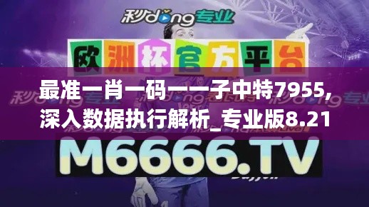 最准一肖一码一一子中特7955,深入数据执行解析_专业版8.218