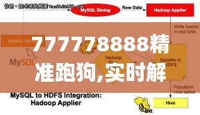 777778888精准跑狗,实时解析说明_AP3.220