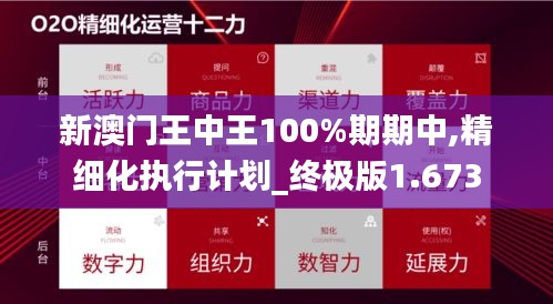 新澳门王中王100%期期中,精细化执行计划_终极版1.673