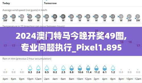 2024澳门特马今晚开奖49图,专业问题执行_Pixel1.895