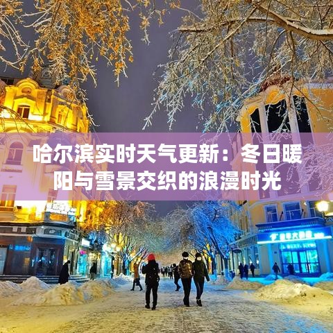 哈尔滨实时天气更新：冬日暖阳与雪景交织的浪漫时光