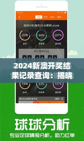 2024新澳开奖结果记录查询：揭晓年度幸运秘密的钥匙