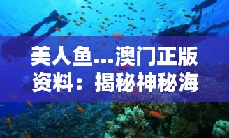 美人鱼…澳门正版资料：揭秘神秘海域，追寻澳门历史的独特印记