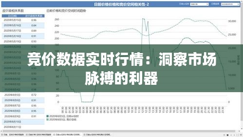 竞价数据实时行情：洞察市场脉搏的利器