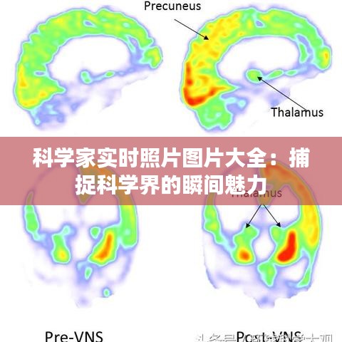 科学家实时照片图片大全：捕捉科学界的瞬间魅力