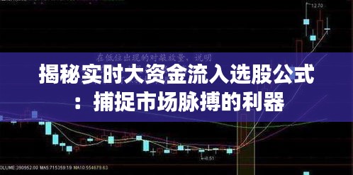 揭秘实时大资金流入选股公式：捕捉市场脉搏的利器