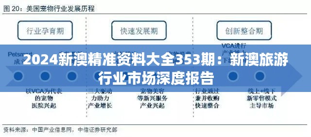 2024新澳精准资料大全353期：新澳旅游行业市场深度报告