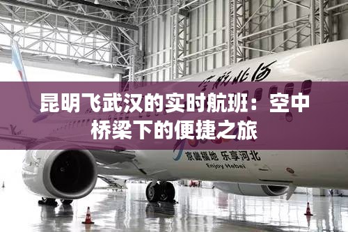 昆明飞武汉的实时航班：空中桥梁下的便捷之旅