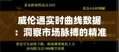 威伦通实时曲线数据：洞察市场脉搏的精准利器