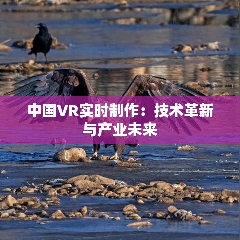 中国VR实时制作：技术革新与产业未来