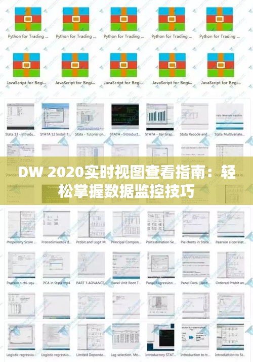 DW 2020实时视图查看指南：轻松掌握数据监控技巧