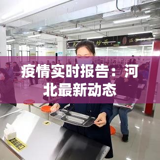 疫情实时报告：河北最新动态