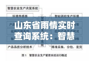 山东省雨情实时查询系统：智慧农业的守护神