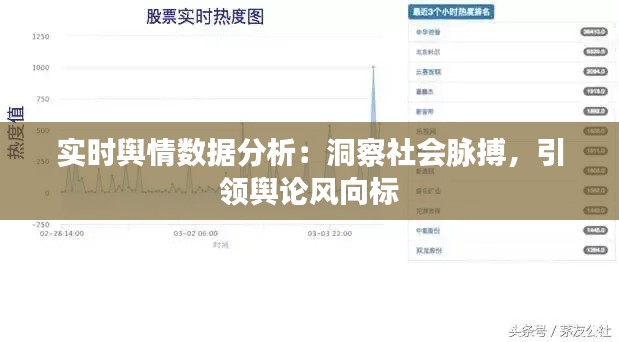 实时舆情数据分析：洞察社会脉搏，引领舆论风向标