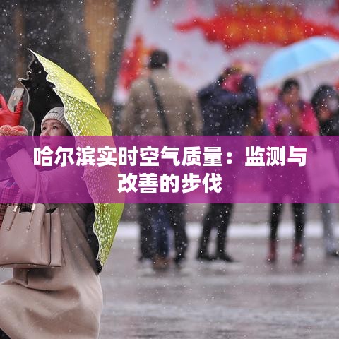 哈尔滨实时空气质量：监测与改善的步伐