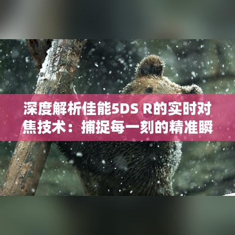 深度解析佳能5DS R的实时对焦技术：捕捉每一刻的精准瞬间