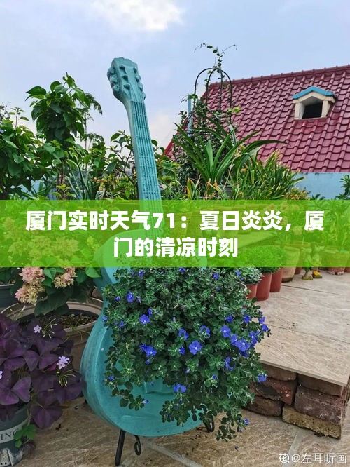 厦门实时天气71：夏日炎炎，厦门的清凉时刻