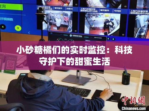 小砂糖橘们的实时监控：科技守护下的甜蜜生活