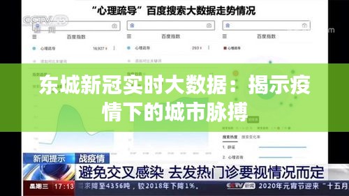 东城新冠实时大数据：揭示疫情下的城市脉搏