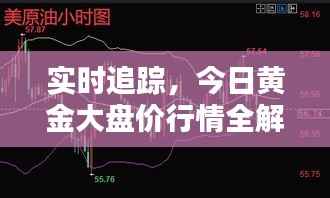 实时追踪，今日黄金大盘价行情全解析