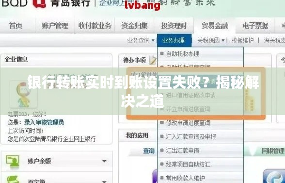 银行转账实时到账设置失败？揭秘解决之道