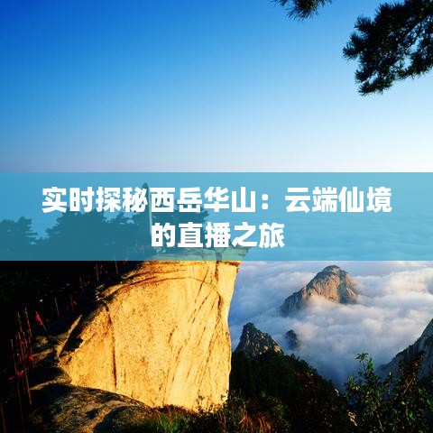 实时探秘西岳华山：云端仙境的直播之旅