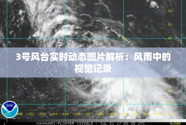 3号风台实时动态图片解析：风雨中的视觉记录