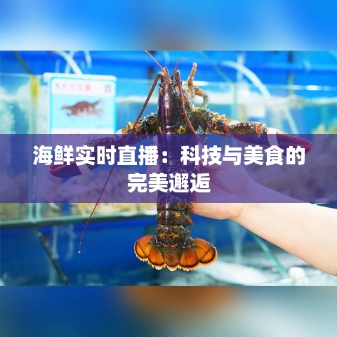 海鲜实时直播：科技与美食的完美邂逅