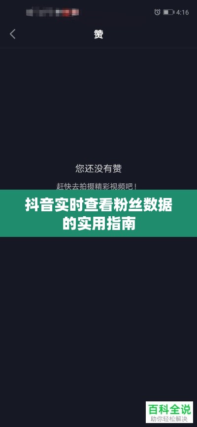 抖音实时查看粉丝数据的实用指南