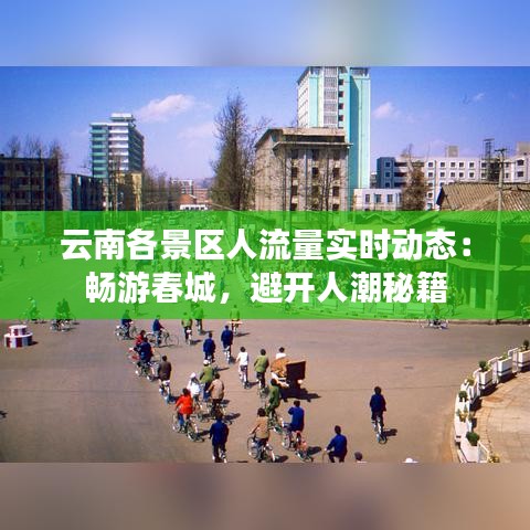 云南各景区人流量实时动态：畅游春城，避开人潮秘籍