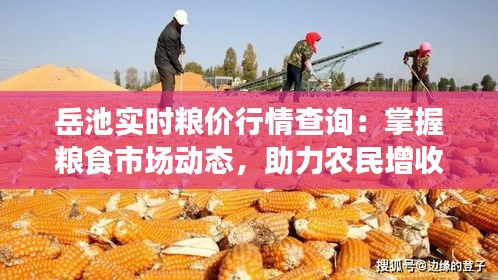 岳池实时粮价行情查询：掌握粮食市场动态，助力农民增收