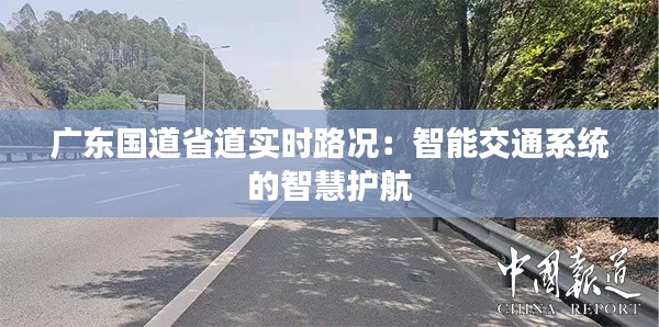 广东国道省道实时路况：智能交通系统的智慧护航