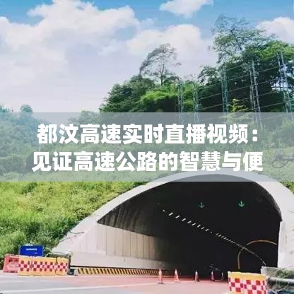 都汶高速实时直播视频：见证高速公路的智慧与便捷