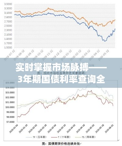 实时掌握市场脉搏——3年期国债利率查询全攻略