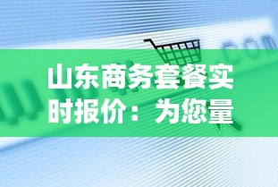 山东商务套餐实时报价：为您量身定制的商务通讯解决方案