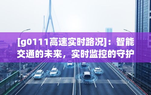 [g0111高速实时路况]：智能交通的未来，实时监控的守护者