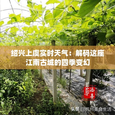 绍兴上虞实时天气：解码这座江南古城的四季变幻