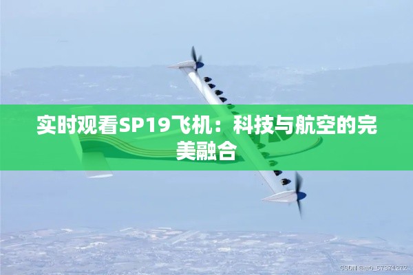 实时观看SP19飞机：科技与航空的完美融合